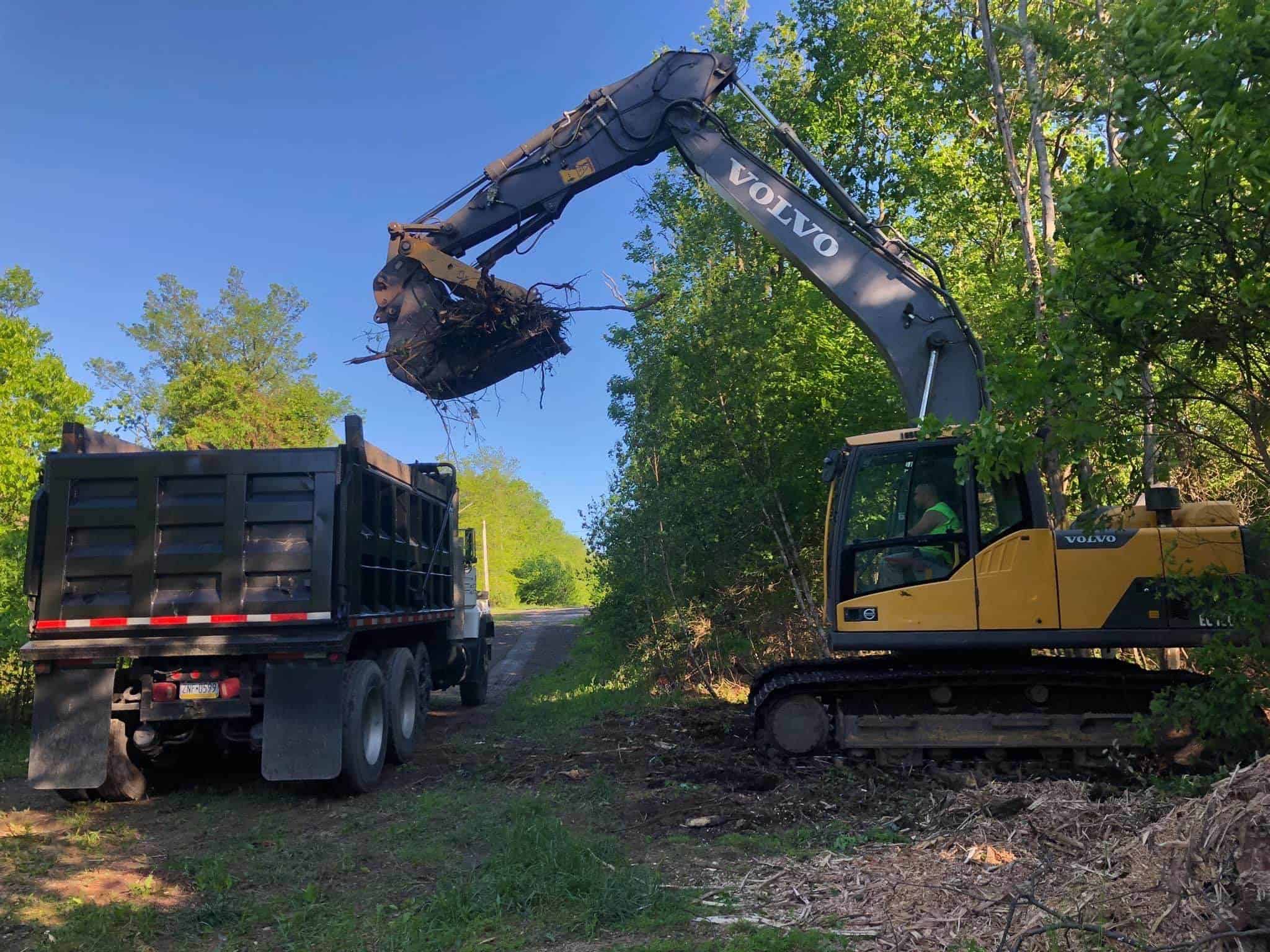 Lot Clearing
