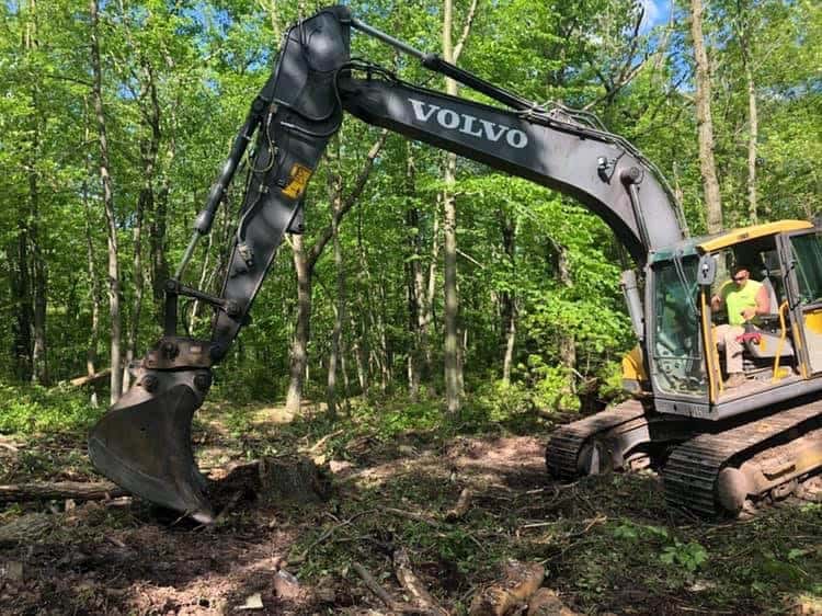 Site Clearing