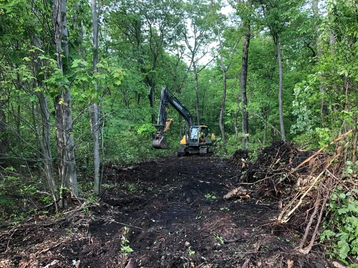 Site Clearing