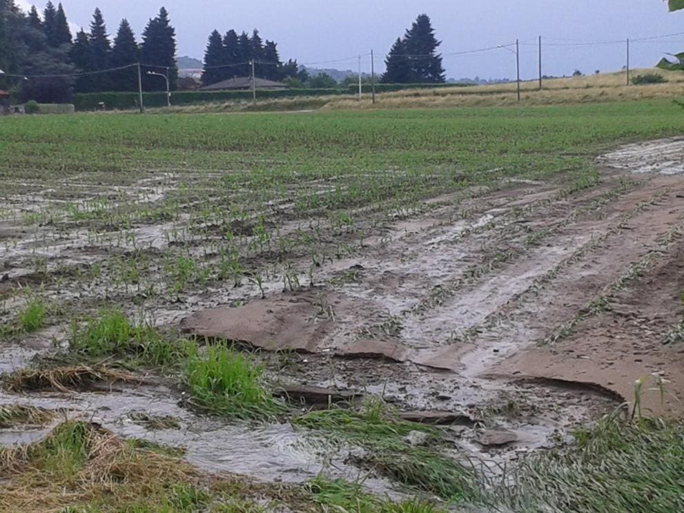 Soil Erosion
